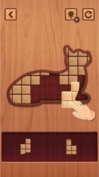 木块拼图谜题游戏图3