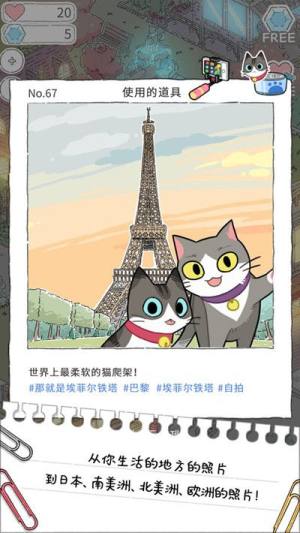 猫友圈猫咪的旅行怎么玩？新手入门攻略大全图片2