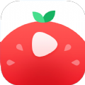 番茄视频最新软件app v1.3.5