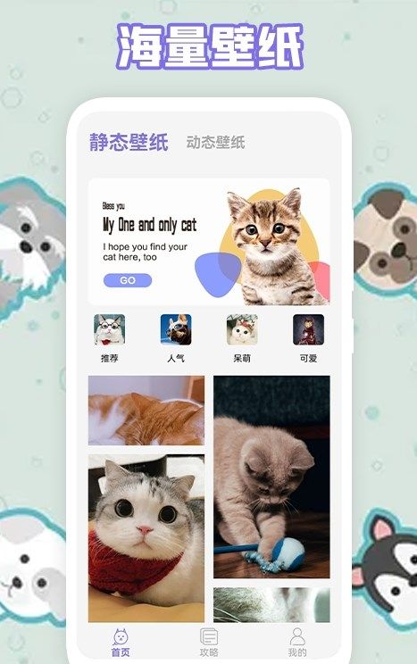 多多养猫助手app图1