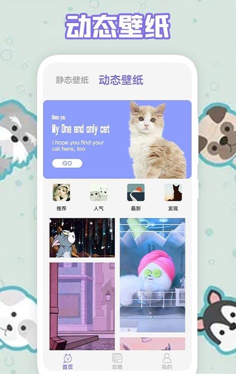 多多养猫助手app图2