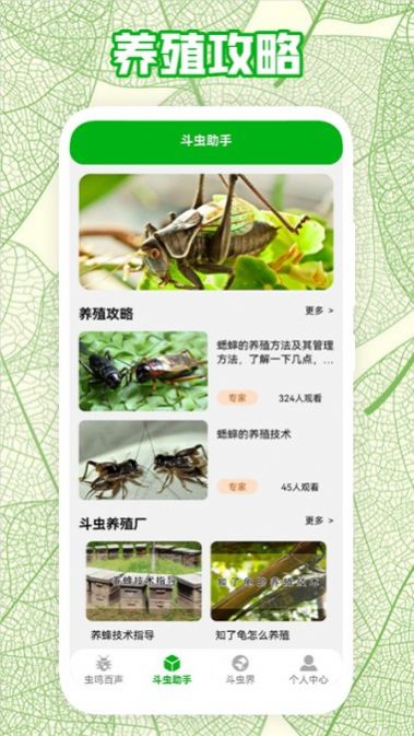 疯狂蛐蛐儿app图2