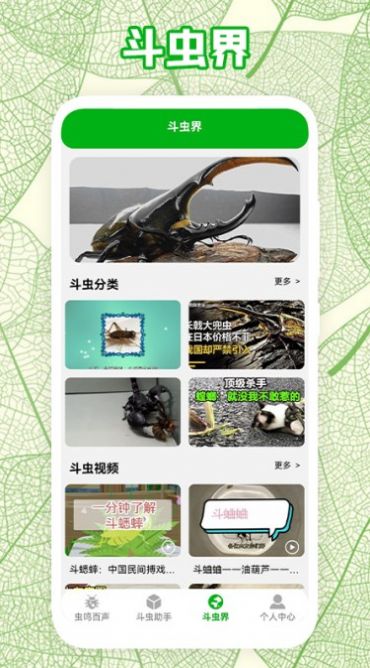 疯狂蛐蛐儿app图1