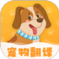 波奇猫狗交流器app手机版下载 v4.1.11