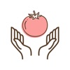 番茄健康谈养生app手机版下载 v1.0.1