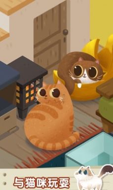 猫咪慵懒的日常最新版图3