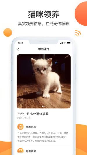 闪电世界app图2