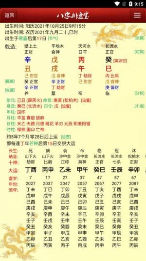 八字排盘宝免费版图1