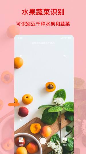 识物王识别软件app下载图片1