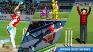 印度板球超级联赛2024游戏图3
