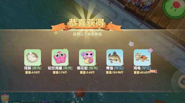 摩尔庄园海龟在哪里钓？新鱼种海龟钓鱼刷新位置介绍[多图]