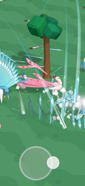 孔雀拔毛大赛免广告下载1.6图片1