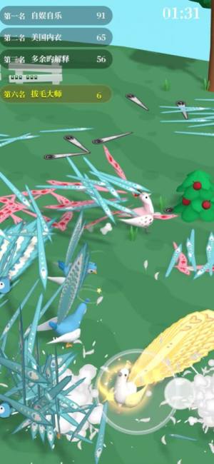 孔雀拔毛大赛免广告下载1.6图片2