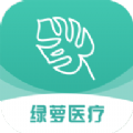 绿萝医疗移动版app下载 v3.0