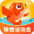 锦鲤运动走运动打卡app软件下载 v1.1.3
