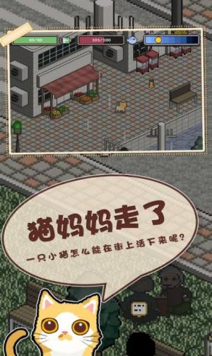 邦戈猫游戏最新版图片1