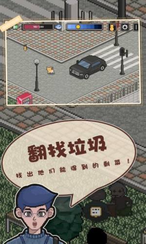 邦戈猫游戏最新版图片2