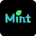 MintAI app