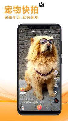 宠友社交app官方版下载图片1