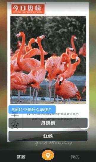 赚米短视频app图1