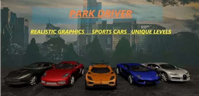 Park Driver游戏图2