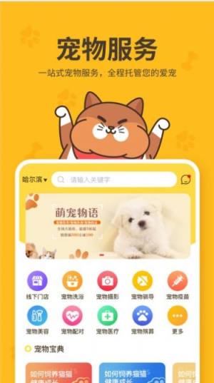 哈奇马app图3