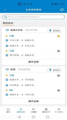 大丰公交行app手机版下载图片1