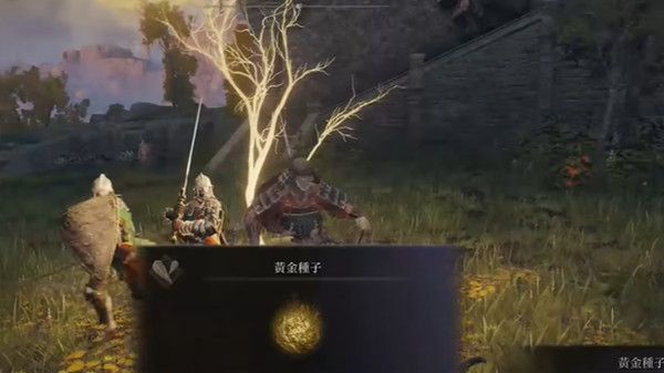 艾尔登法环黄金种子位置大全 黄金种子地图位置图示汇总图片2