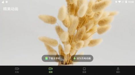 充电动效app手机版下载图片1