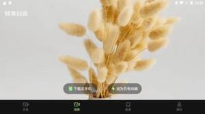 充电动效app手机版下载图片1