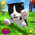 模拟宠物店养成游戏安卓版 v1.0