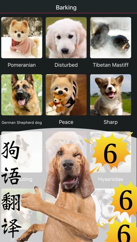 Pet Translator宠物对话翻译器图2
