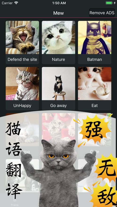 Pet Translator宠物对话翻译器中文版软件下载图片1