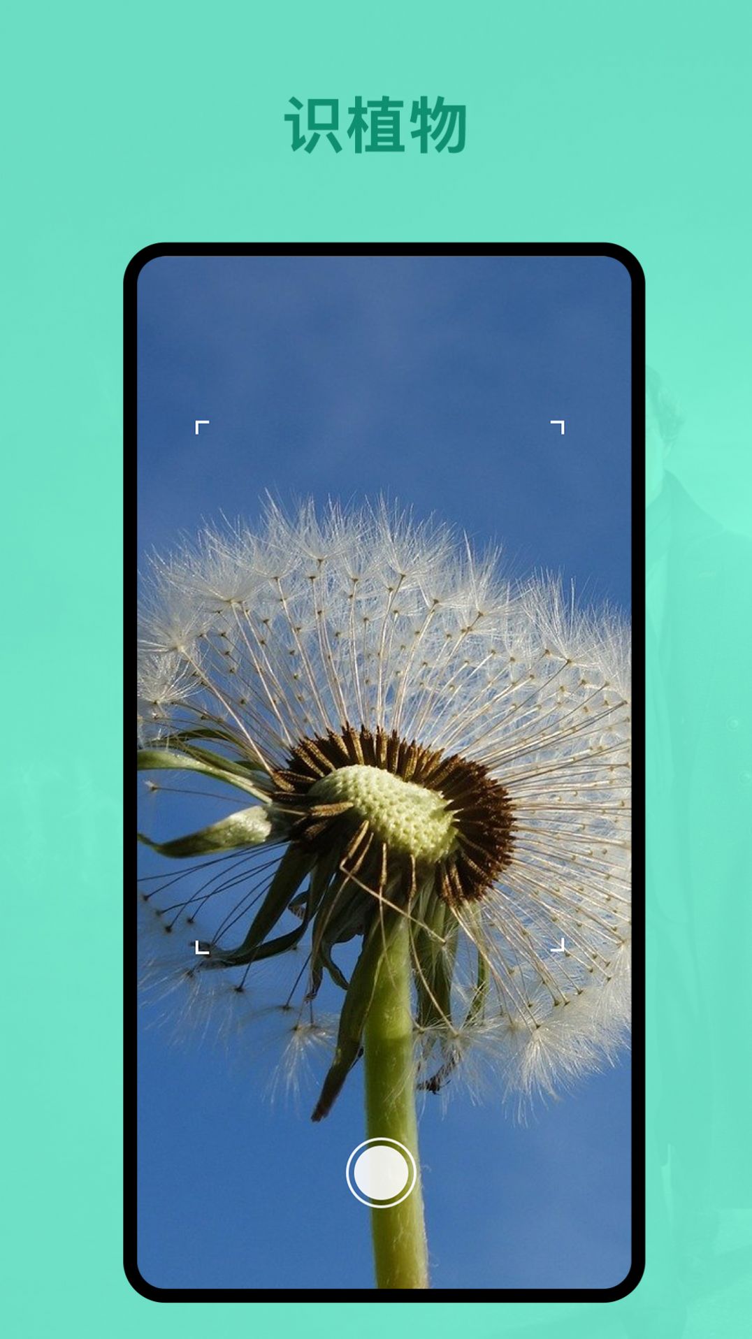 识植物app图3