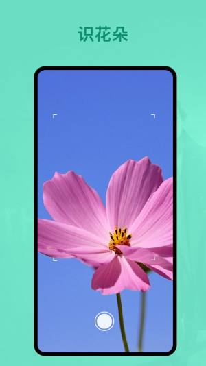 识植物最准软件app下载图片1