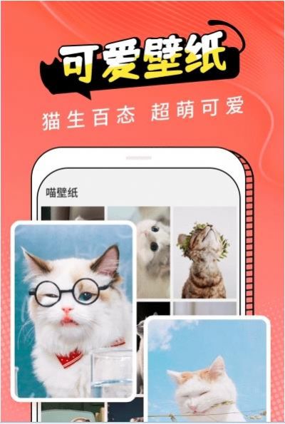 pet猫翻译app软件下载图片2