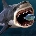 鲨鱼之王游戏安卓官方版（King of the Fish Tank） v2.0.0