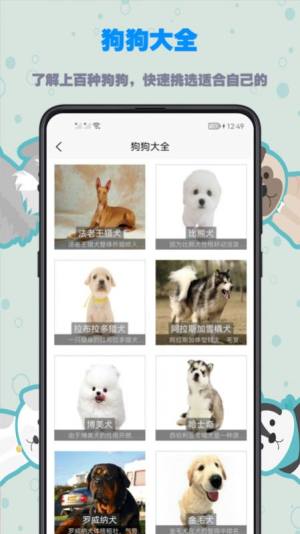 训狗教程app免费下载图片1