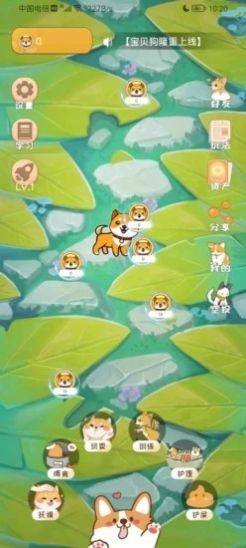 宝贝狗养狗app官方下载图片1