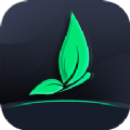 绿茶影视播放器app