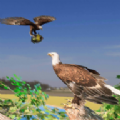 老鹰模拟游戏3D最新安卓官方版（Eagle Simulator Game 3D） v1.0