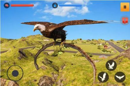 老鹰模拟游戏3D官方版图3
