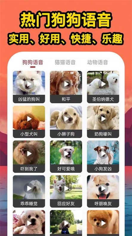 人人猫狗翻译交流器app图2