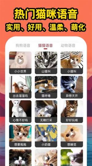 人人猫狗翻译交流器app图3