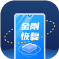 金刚恢复大师app