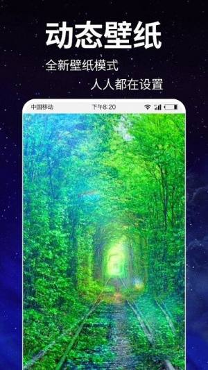 动态壁纸4k免费app手机版下载图片1