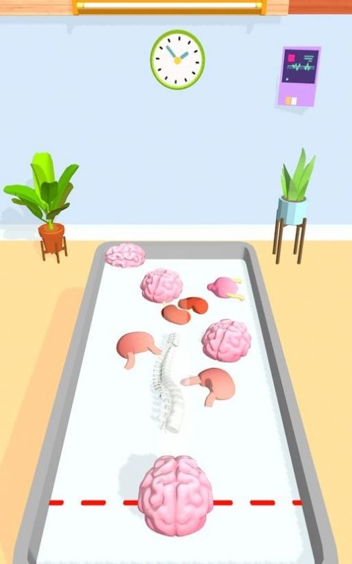 合并器官3D游戏图3