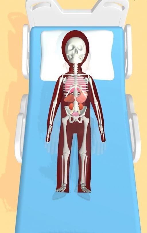 合并器官3D游戏图2