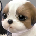 宠物饲养员游戏安卓版 v1.0.0