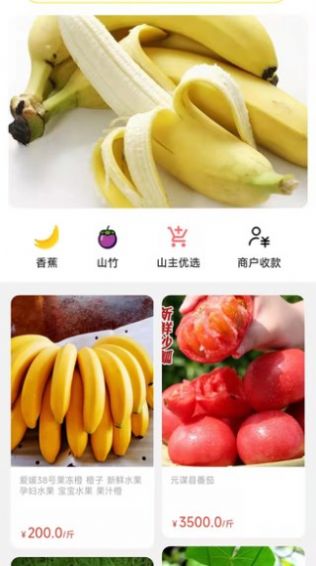 天蕉云果购物app手机版下载图片1